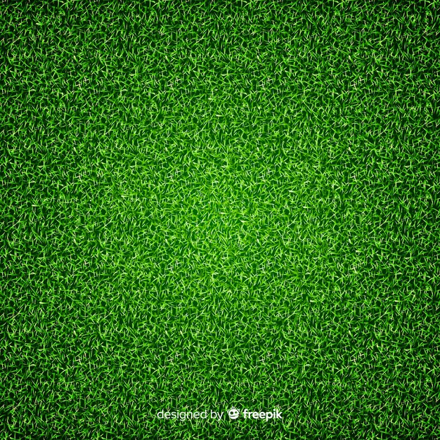 Green grass background realisitic design