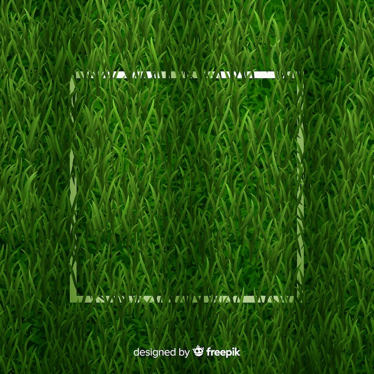 ฟรี Vector green grass background realisitic design