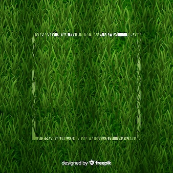 緑​の​芝生​の​背景​本物​の​デザイン