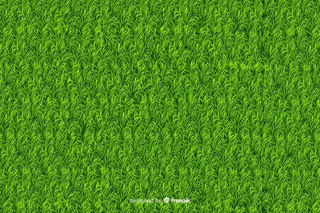 Green grass background realisitic design