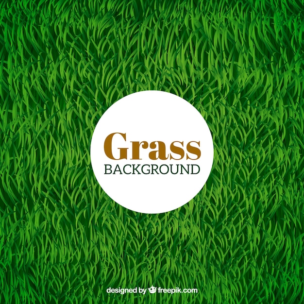 Free vector green grass background in realistic design