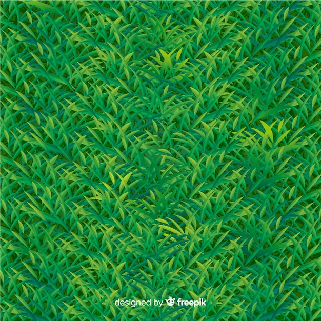 Green grass background realistic style