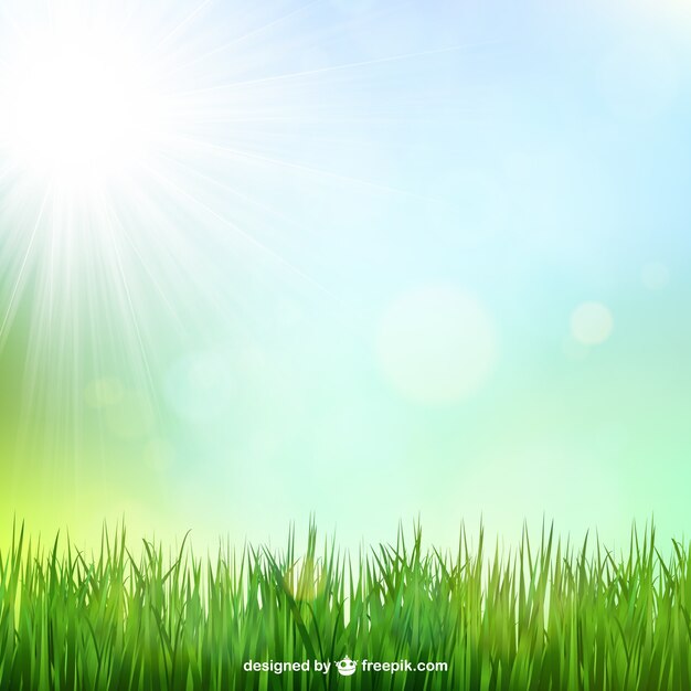 Зеленая трава фон с солнцем