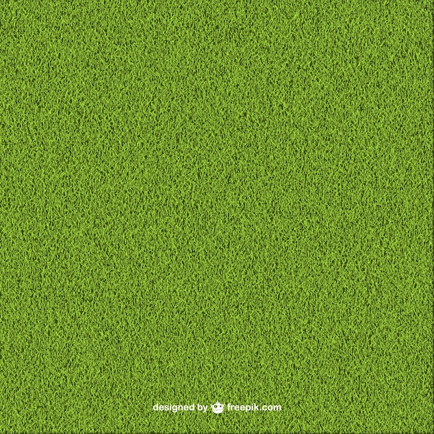 緑の芝生の背景