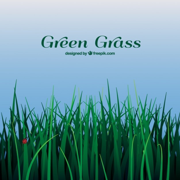 Free Vector green grass background 