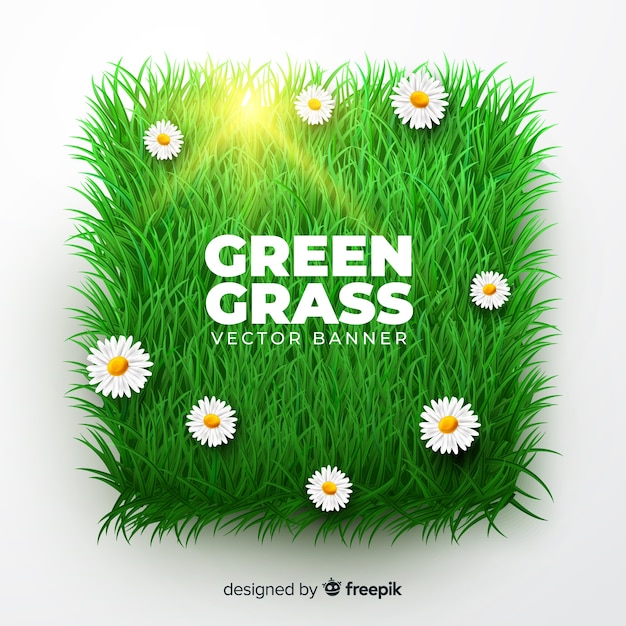 Free vector green grass banner realistic style
