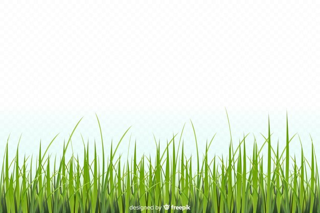 Green grass border realistic design