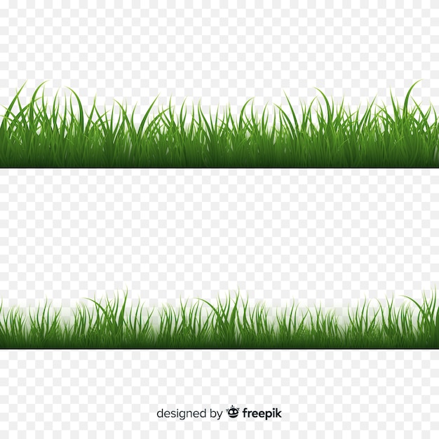 Green grass border realistic design