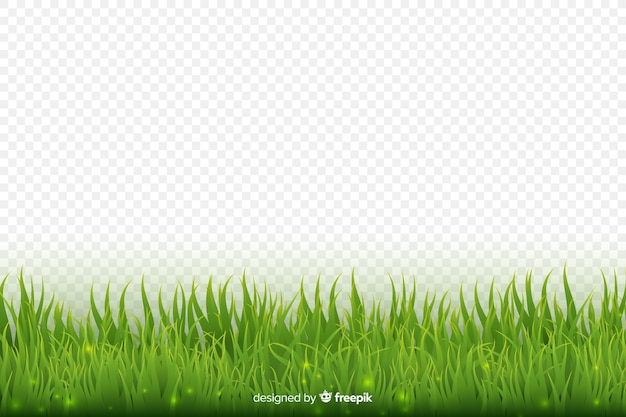 Green grass border realistic design