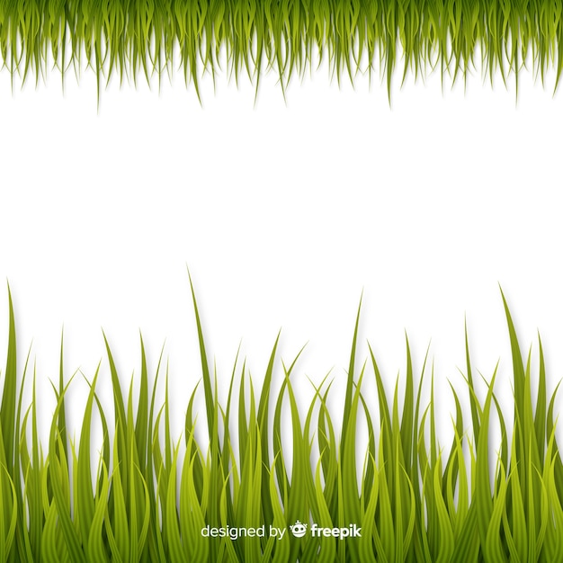 Green grass border realistic design