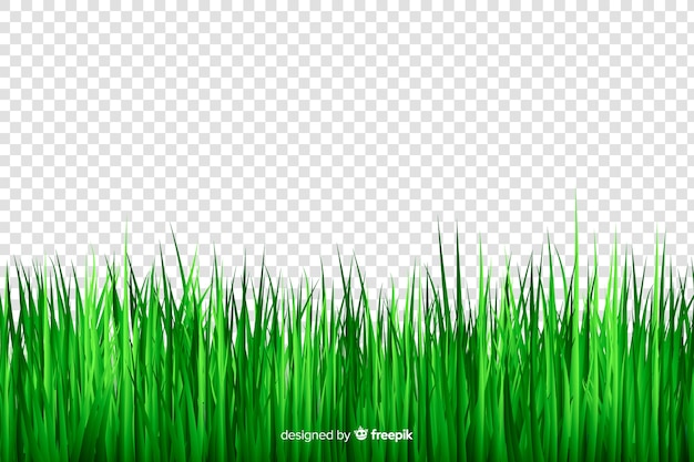 Free vector green grass border realistic design