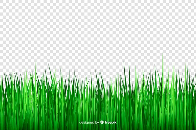 Green grass border realistic design