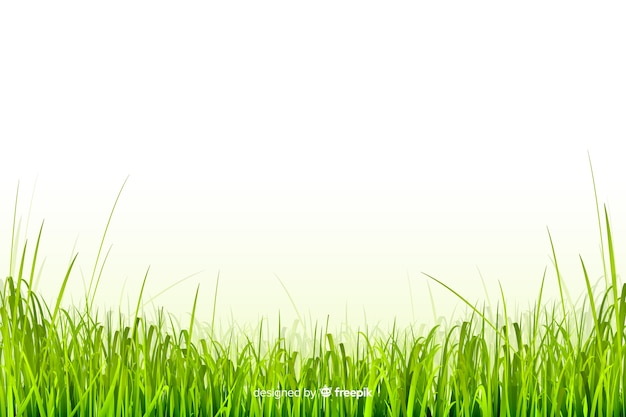 無料ベクター 緑の芝生のボーダーリアルなデザイン