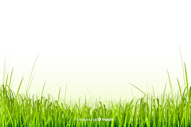 Green grass border realistic design