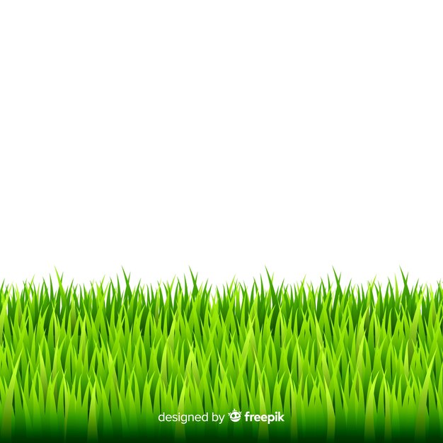 Green grass border realistic design