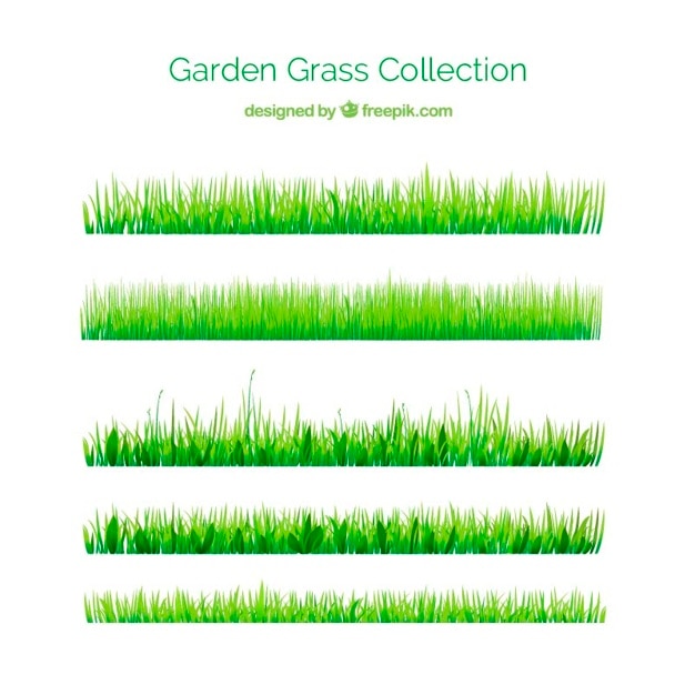 Бесплатное векторное изображение Зеленая трава для вашего сада