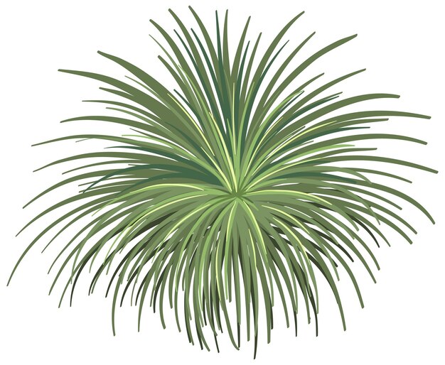 白で隔離される緑の草