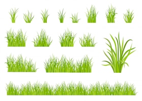 Green grass pattern set