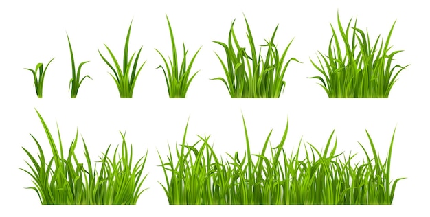 無料ベクター 芝生用の緑の草の現実的な雑草植物