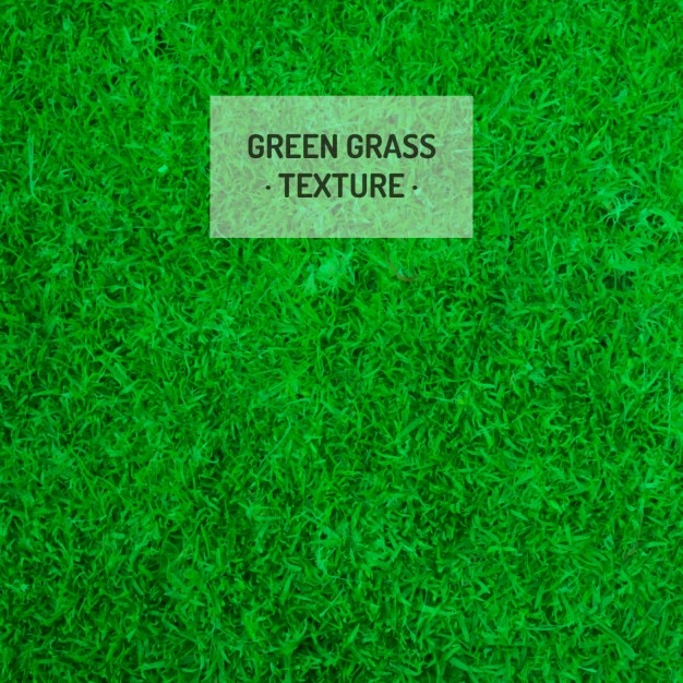 Vettore gratuito texture di erba verde