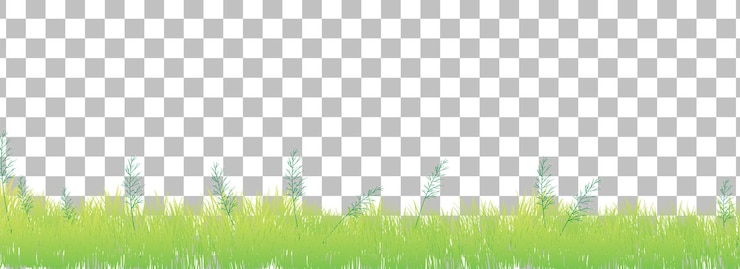免費 Vector 透明背景上的綠草