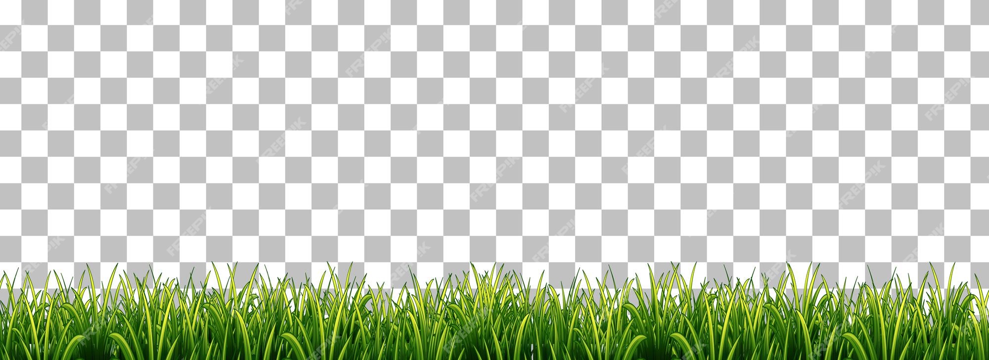 Grass png Vectors & Illustrations for Free Download | Freepik