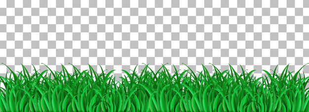 Green grass on transparent background