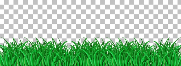 Green grass on transparent background