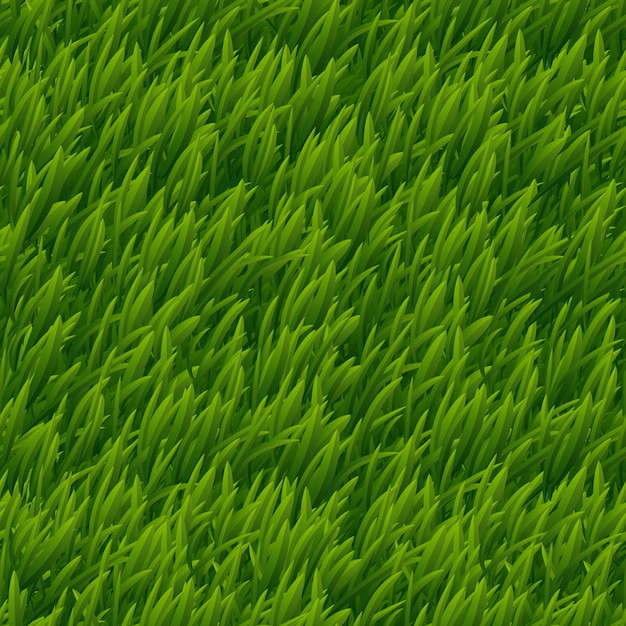 Free Vector green grass vector seamless texture. lawn nature, meadow plant, field natural outdoor illustration