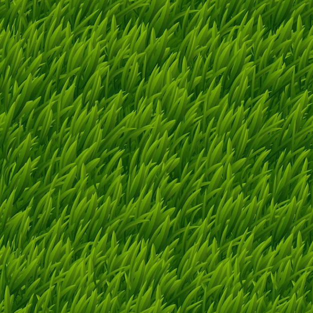 緑の草のベクトルのシームレスなテクスチャ。芝生の自然、牧草地の植物、フィールド自然屋外イラスト