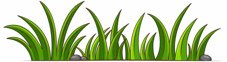 Free vector green grass on white background