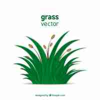 Free vector green grass