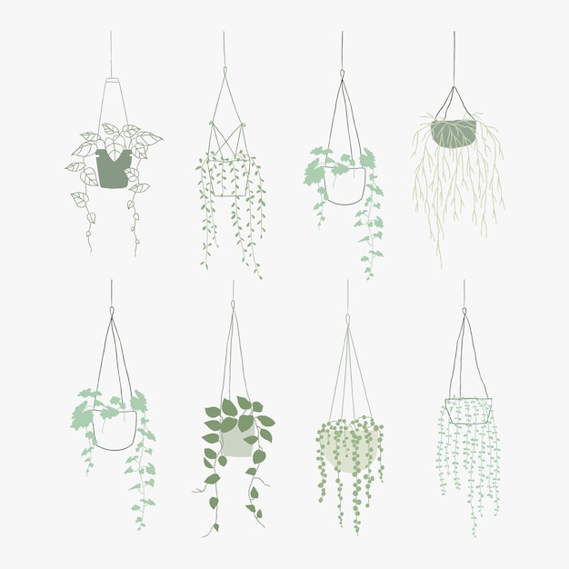 Зеленые висячие растения вектор набор каракули стиль