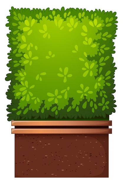 Free vector a green house plant