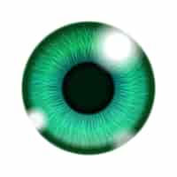 Free vector green human eye isolated