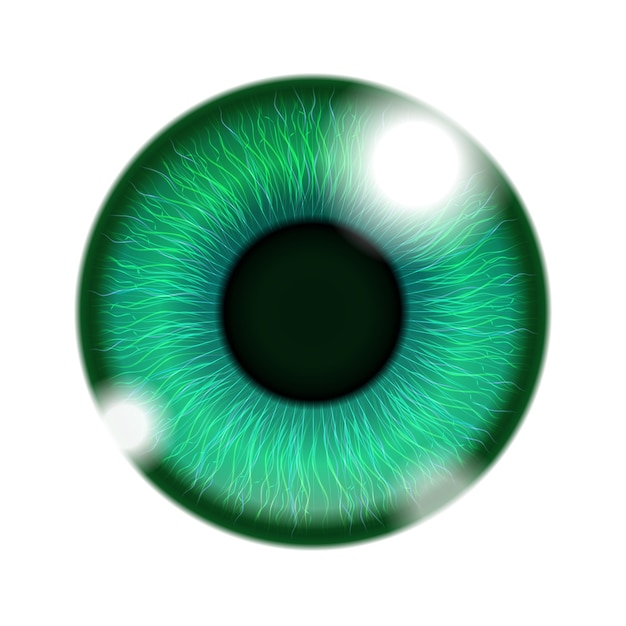 Green human eye isolated