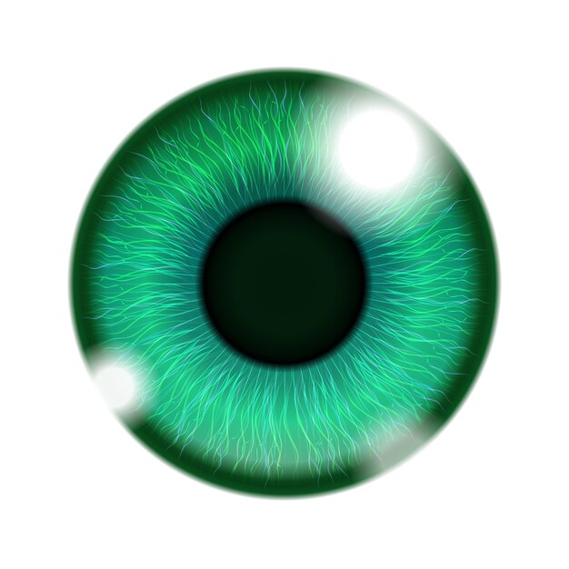 Green human eye isolated