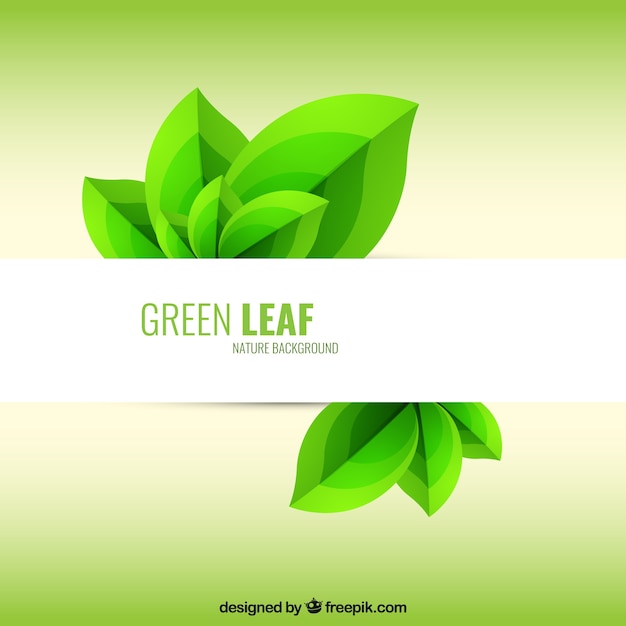 Free vector green leaf background