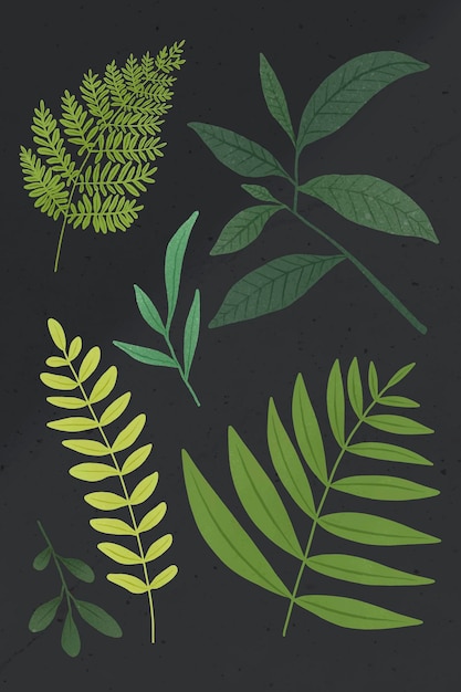 Free vector green leaf design element set on a gray background