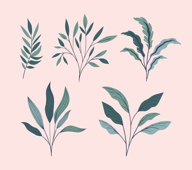 Green leafs natural set icons