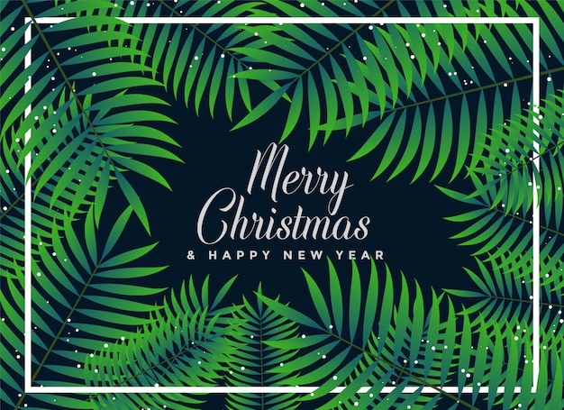 Green leaves background for merry christmas