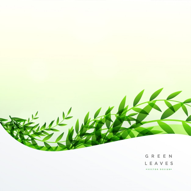 Free vector green leaves background with text space