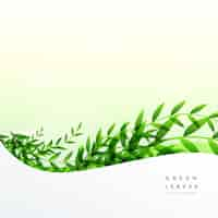 Free vector green leaves background with text space