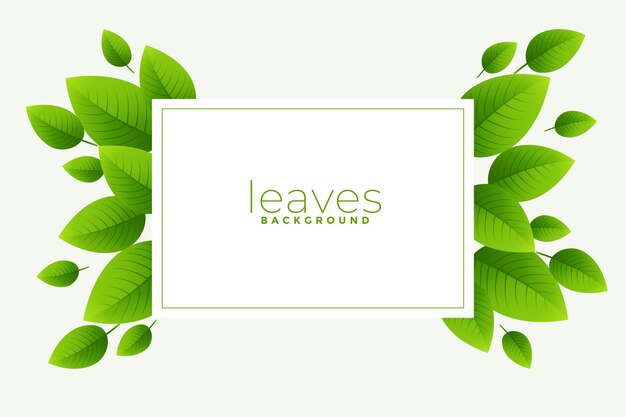 Green leaves background with text space