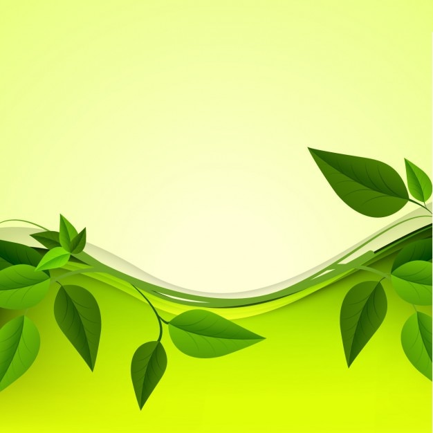 Free vector green leaves background