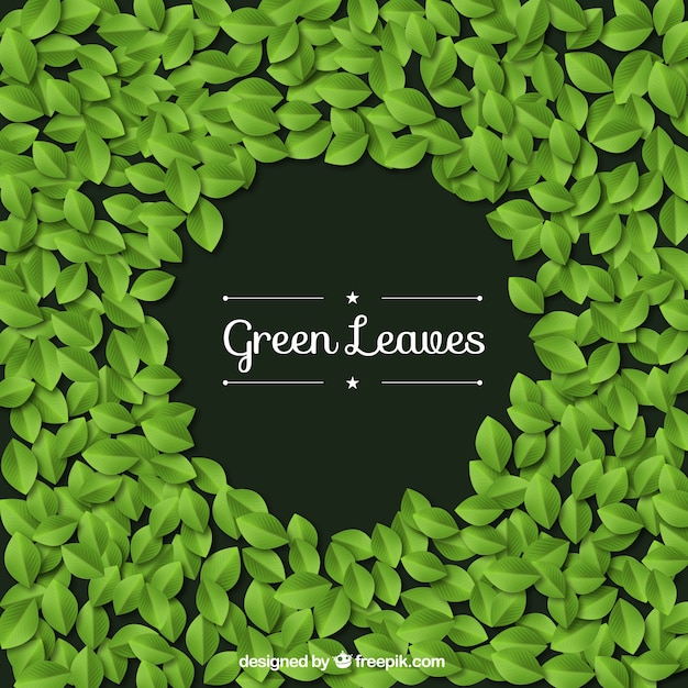 green leaves background