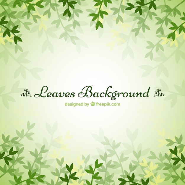 Green leaves background