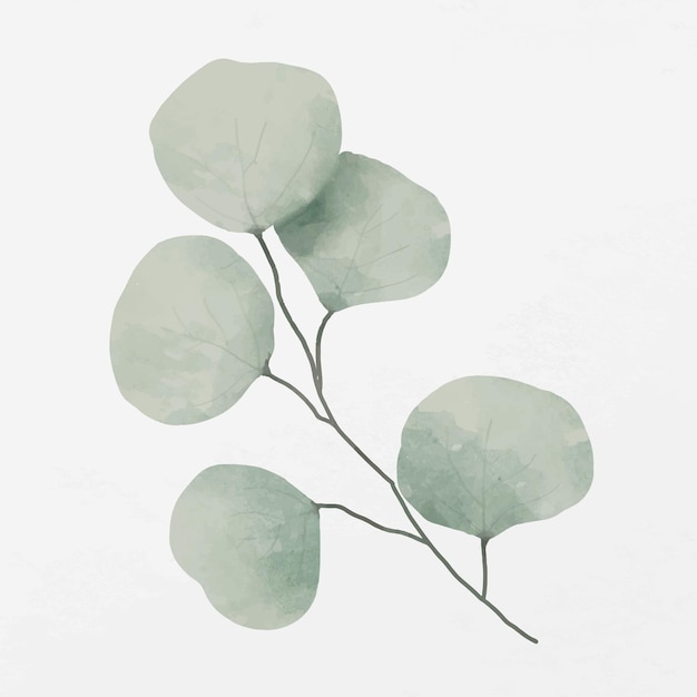 Green leaves branch illustration