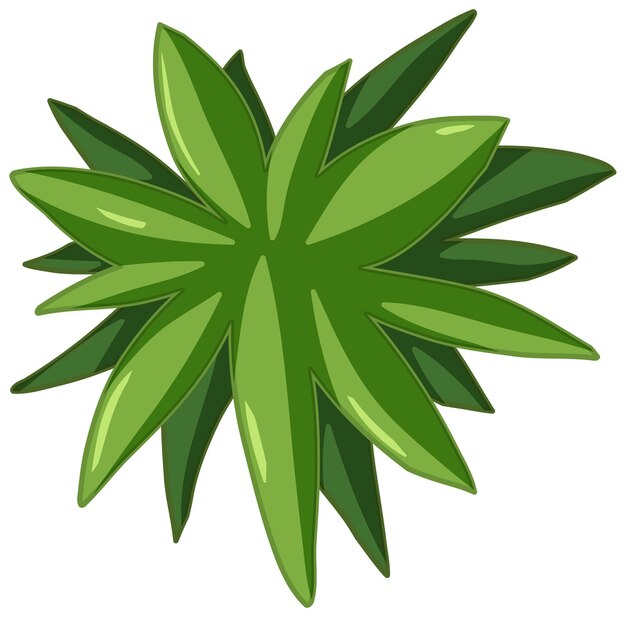 Зеленые листья мультяшном стиле на белом фоне