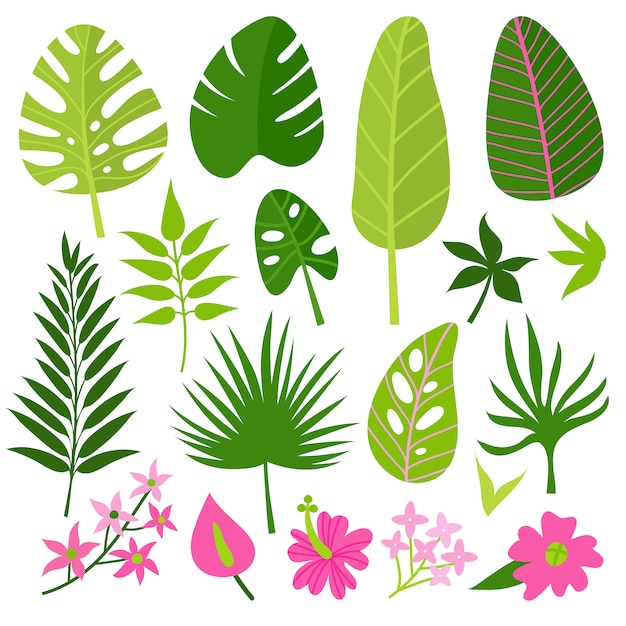 Free vector green leaves collection